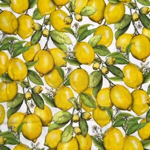 Down on the Farm Lemons by Mary Lake-Thompson for Robert Kaufman Fabric - 1/2 Yd